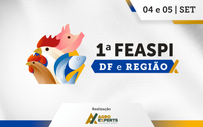 1ª FEASPI – DF